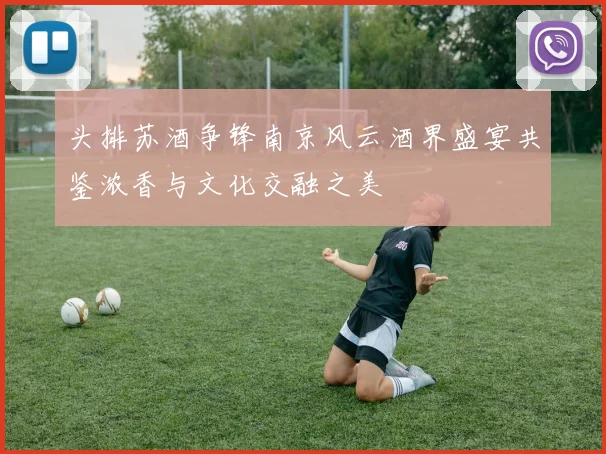 头排苏酒争锋南京风云酒界盛宴共鉴浓香与文化交融之美