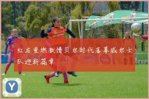 红龙重燃激情贝尔时代落幕威尔士队迎新篇章