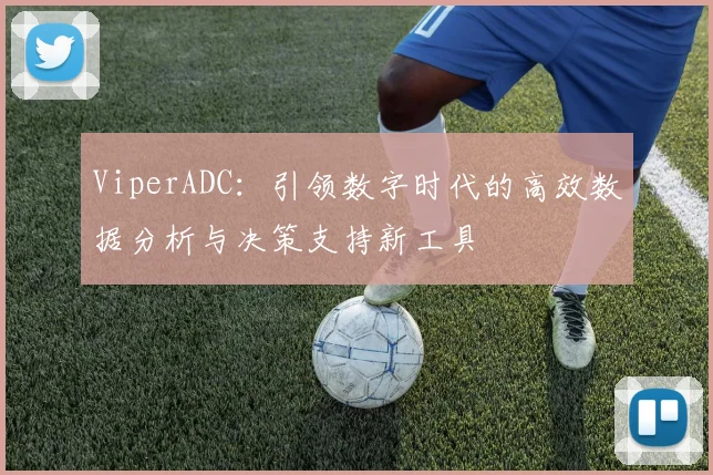 ViperADC：引领数字时代的高效数据分析与决策支持新工具