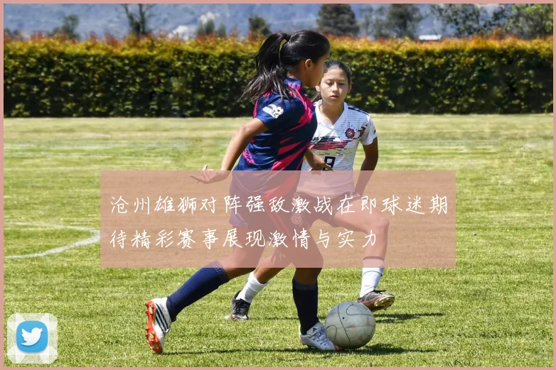 沧州雄狮对阵强敌激战在即球迷期待精彩赛事展现激情与实力